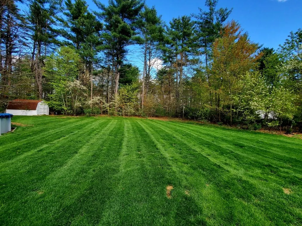 Local yard maintenance in Queensbury, NY - Twin Peak Lawn Care