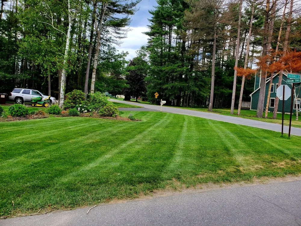 Custom yard cleanup service for homes in Queensbury, NY by Twin Peak Lawn Care