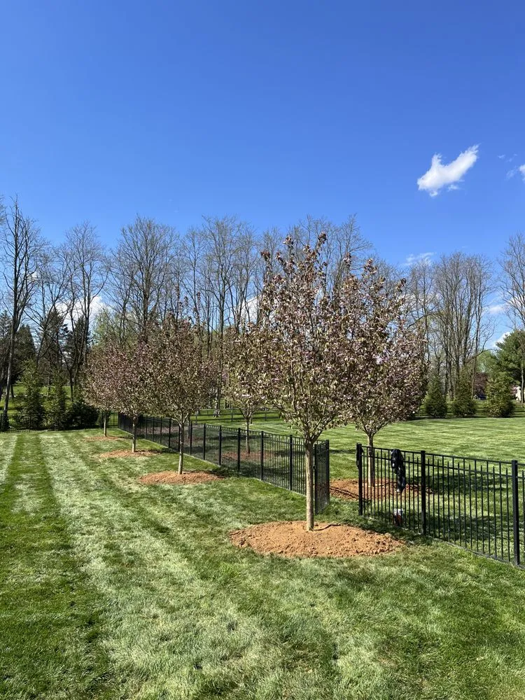 Local yard cleanup service in Pottstown, PA by Twin Pines Land Management