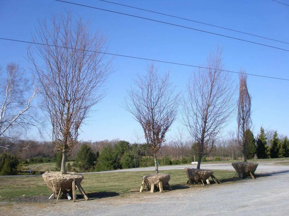 Local yard maintenance experts serving Pottstown, PA - Twin Pines Land Management