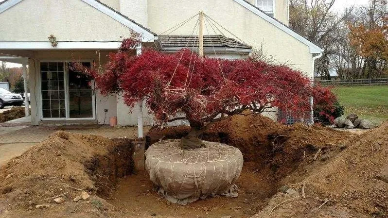 Expert landscaping services in Pottstown, PA - Twin Pines Land Management