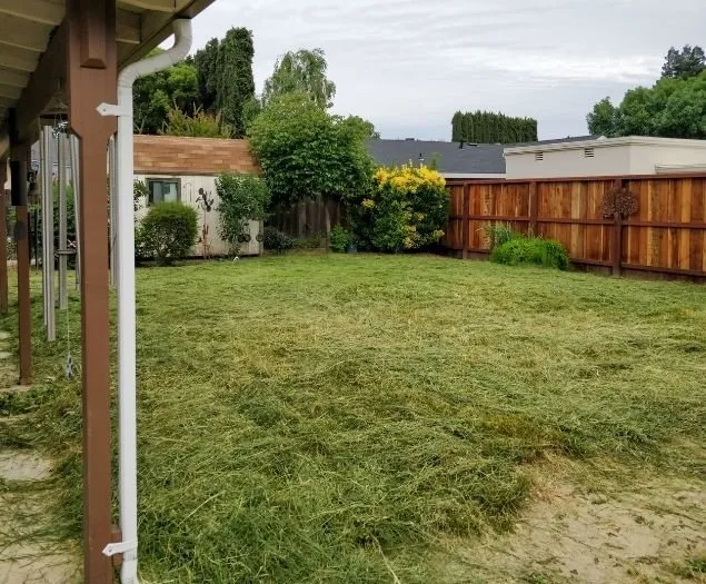 Affordable lawn care service in Eugene, OR - Twin Pines Lawn and Landscape