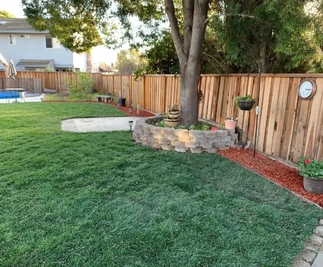 Professional outdoor landscaping in Eugene, OR - Twin Pines Lawn and Landscape