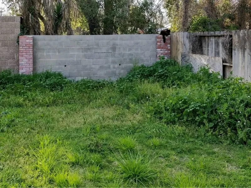 Professional outdoor landscaping for residential properties in Eugene, OR by Twin Pines Lawn and Landscape