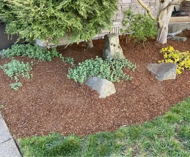 Reliable lawn care service experts serving Eugene, OR - Twin Pines Lawn and Landscape