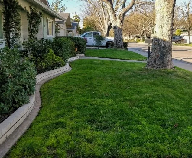 Affordable lawn care service experts serving Eugene, OR - Twin Pines Lawn and Landscape