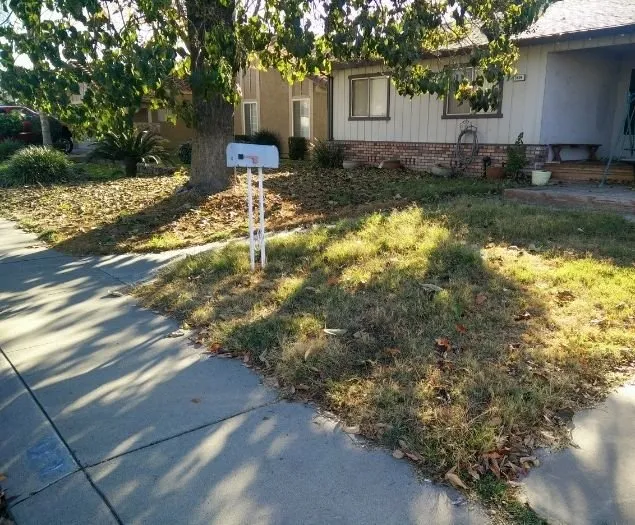 Reliable yard cleanup service for residential properties across Eugene, OR - Twin Pines Lawn and Landscape