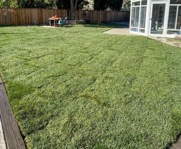 Expert yard maintenance experts serving Eugene, OR - Twin Pines Lawn and Landscape