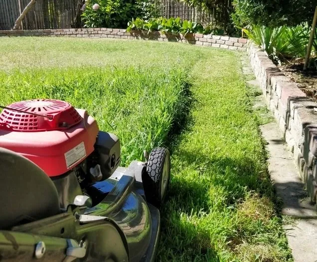 Expert landscape installation for beautiful yards across Eugene, OR - Twin Pines Lawn and Landscape