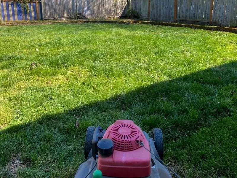 Custom landscape installation in Eugene, OR by Twin Pines Lawn and Landscape