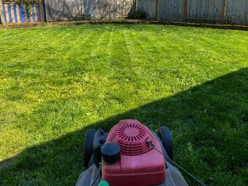 Custom landscaping services for residential properties across Eugene, OR - Twin Pines Lawn and Landscape