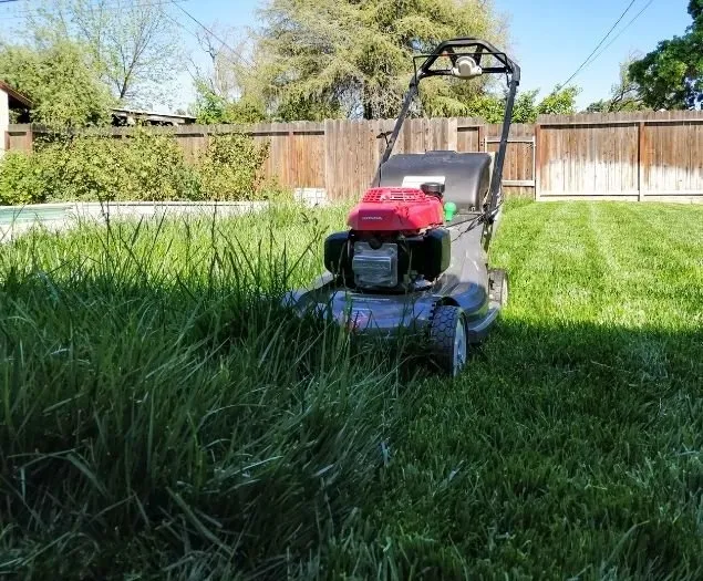 Affordable landscape installation in Eugene, OR by Twin Pines Lawn and Landscape