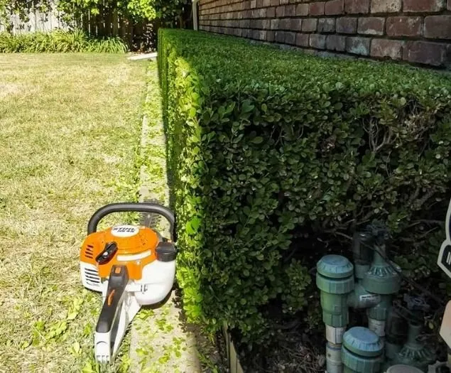 Top-rated garden landscaping for homes in Eugene, OR by Twin Pines Lawn and Landscape