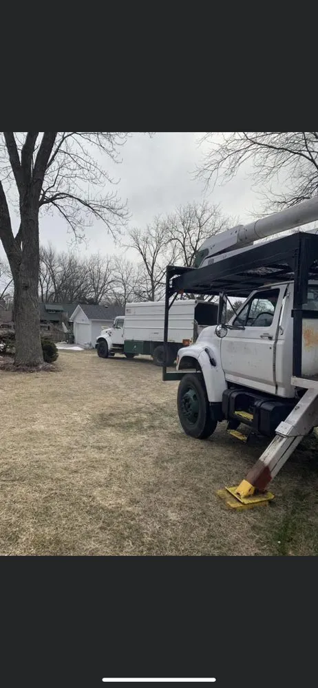 Reliable lawn mowing service experts serving Warrenville, IL - Twin Pines Tree Care Experts