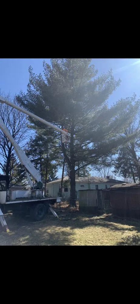 Reliable yard cleanup service in Warrenville, IL by Twin Pines Tree Care Experts