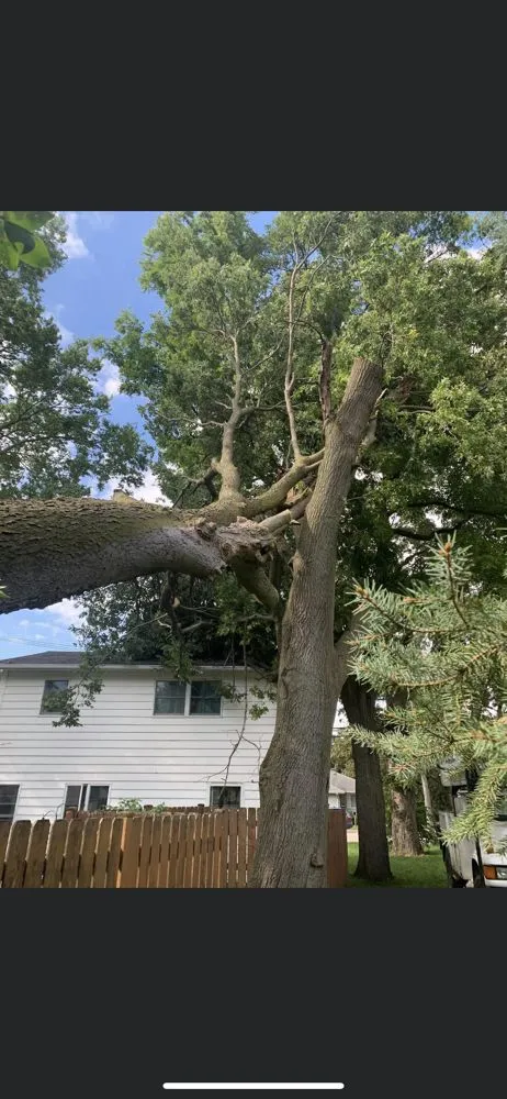 Top-rated landscape design experts serving Warrenville, IL - Twin Pines Tree Care Experts