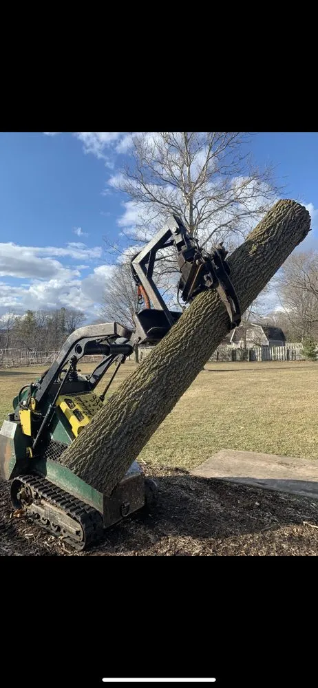 Professional residential landscaping in Warrenville, IL - Twin Pines Tree Care Experts