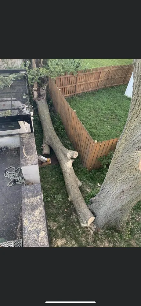 Custom outdoor landscaping in Warrenville, IL - Twin Pines Tree Care Experts