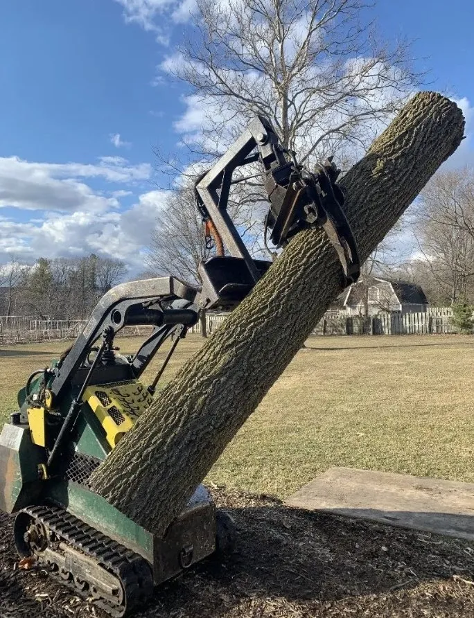 Top-rated outdoor landscaping in Warrenville, IL - Twin Pines Tree Care Experts