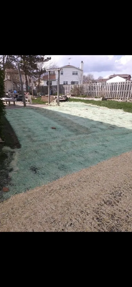 Custom yard maintenance in Warrenville, IL by Twin Pines Tree Care Experts