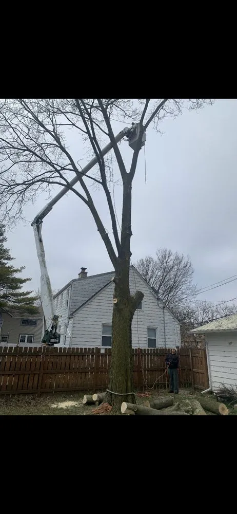 Trusted lawn mowing service for outdoor upgrades in Warrenville, IL by Twin Pines Tree Care Experts