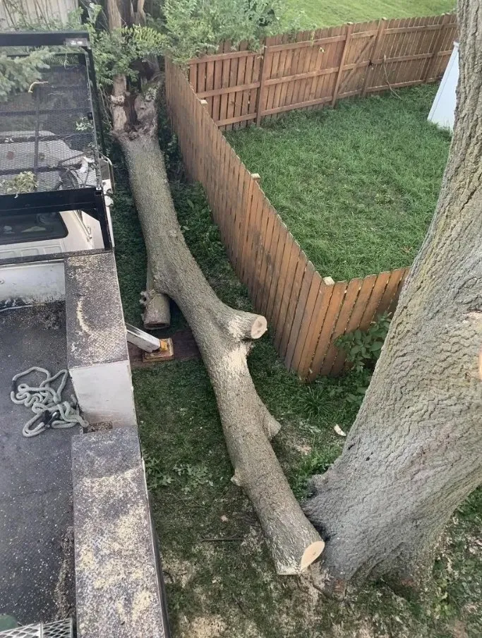 Trusted outdoor landscaping for beautiful yards across Warrenville, IL - Twin Pines Tree Care Experts