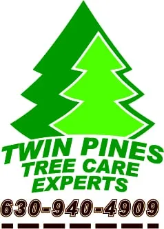 Professional yard maintenance near you in Warrenville, IL by Twin Pines Tree Care Experts