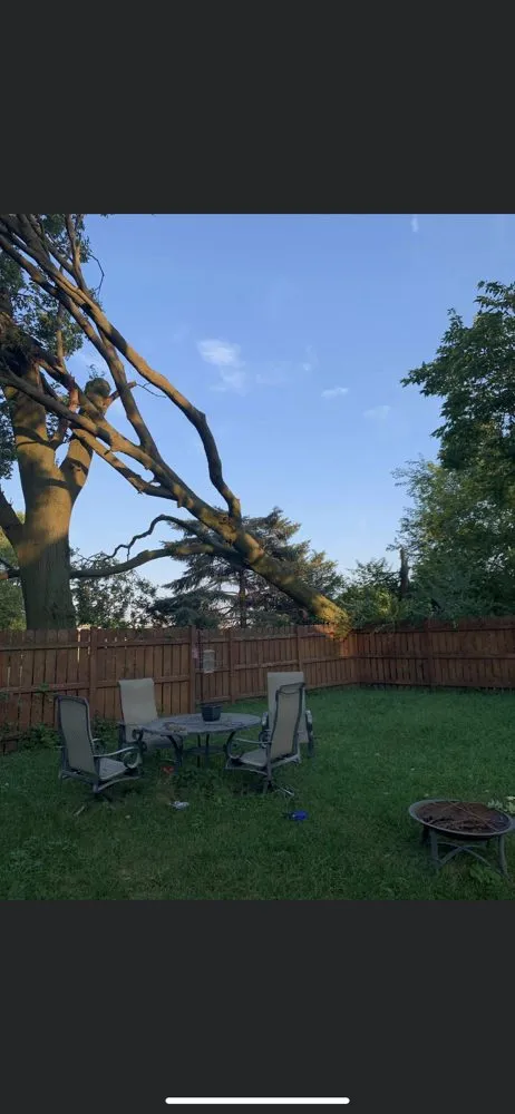 Expert outdoor landscaping for outdoor upgrades across Warrenville, IL - Twin Pines Tree Care Experts