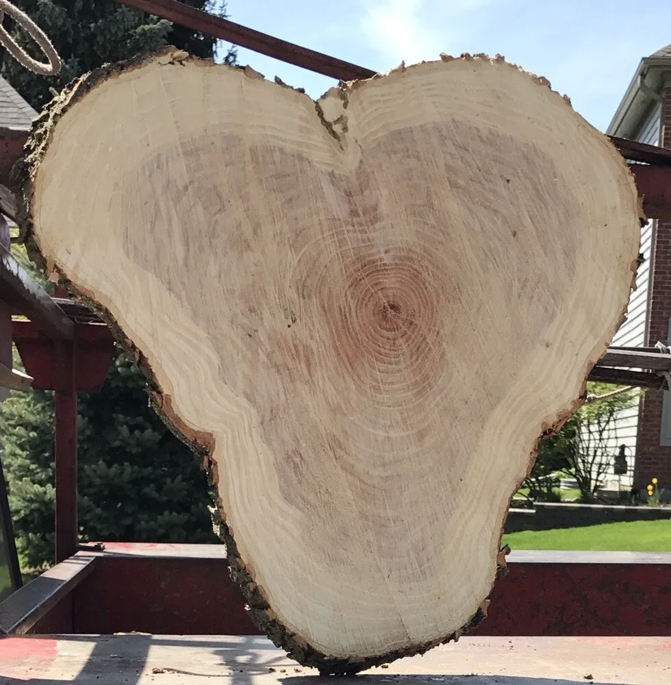 Custom landscape installation for beautiful yards across Warrenville, IL - Twin Pines Tree Care Experts