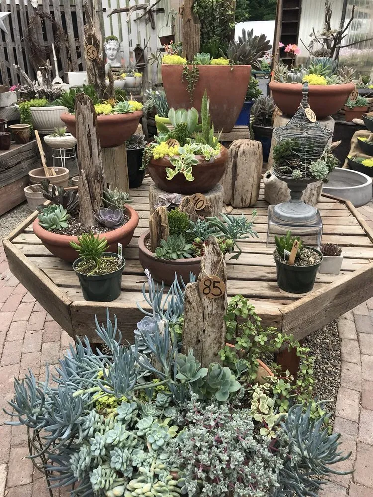 Top-rated yard cleanup service in Montgomery, NY - Twin Ponds Greenhouse & Landscaping