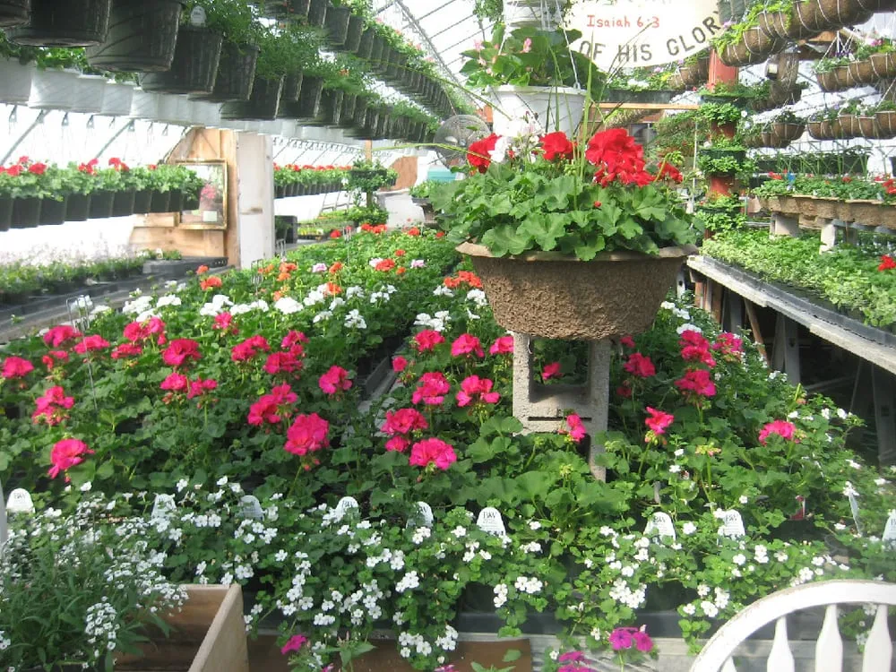 Affordable landscape design in Montgomery, NY - Twin Ponds Greenhouse & Landscaping