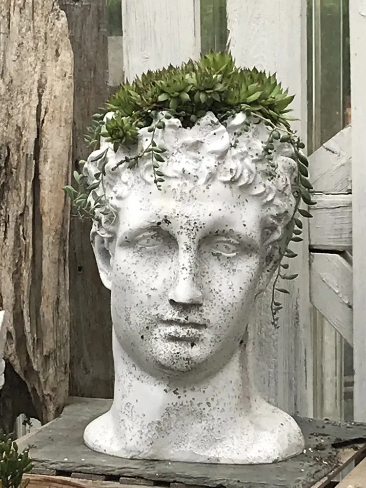 Professional yard maintenance in Montgomery, NY by Twin Ponds Greenhouse & Landscaping