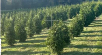 Top-rated outdoor landscaping in Monroe Twp (Middlesex county), NJ by Twin Ponds Nursery