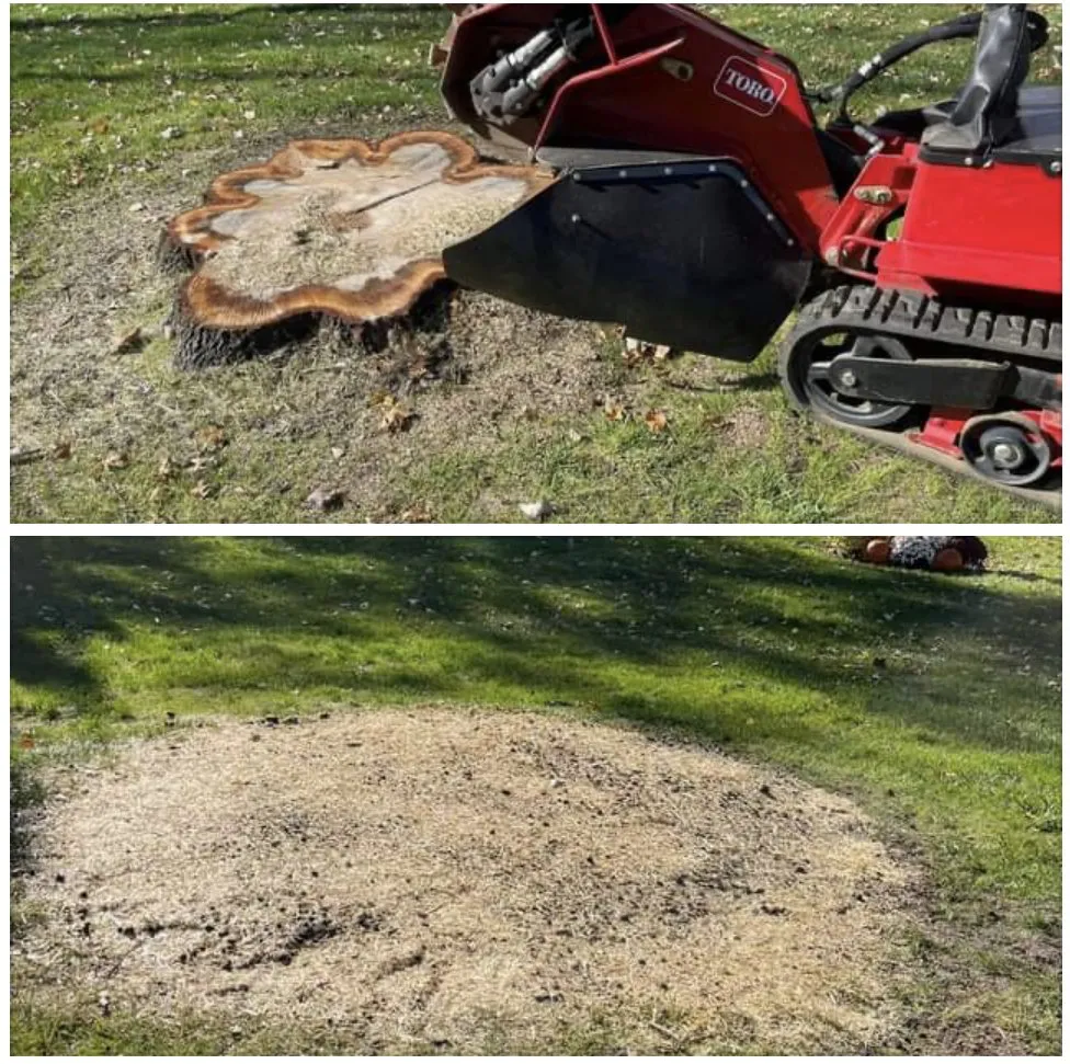 Custom landscaping services for residential properties in Orange, CT by Twin River landscaping