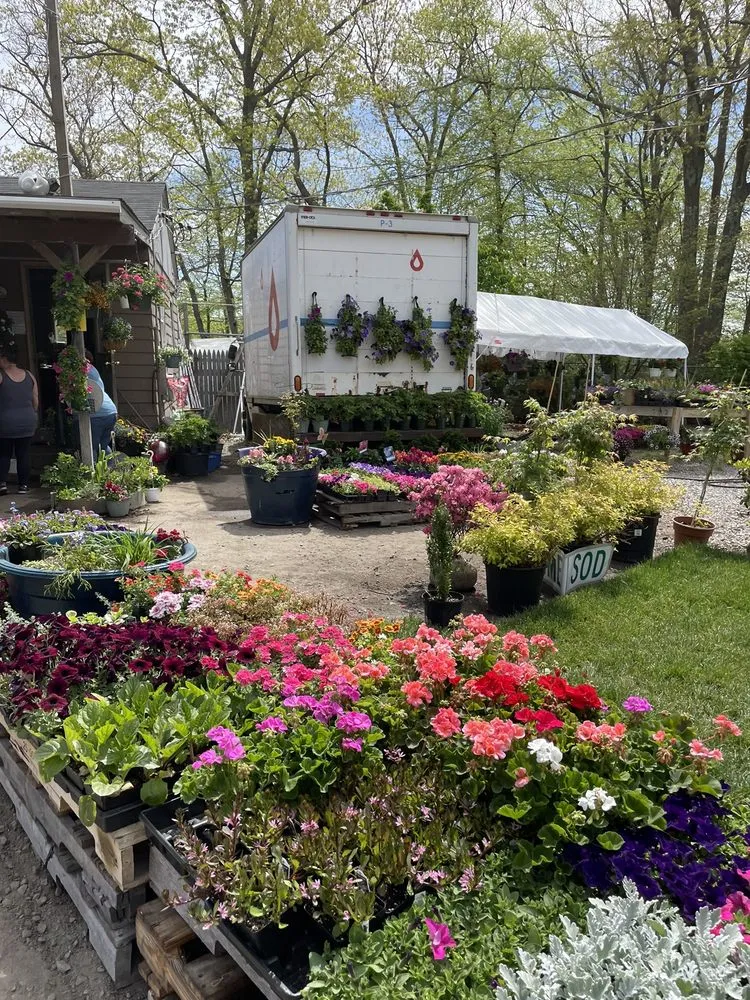 Expert landscaping services near you across Smithfield, RI - Twin River Nursery