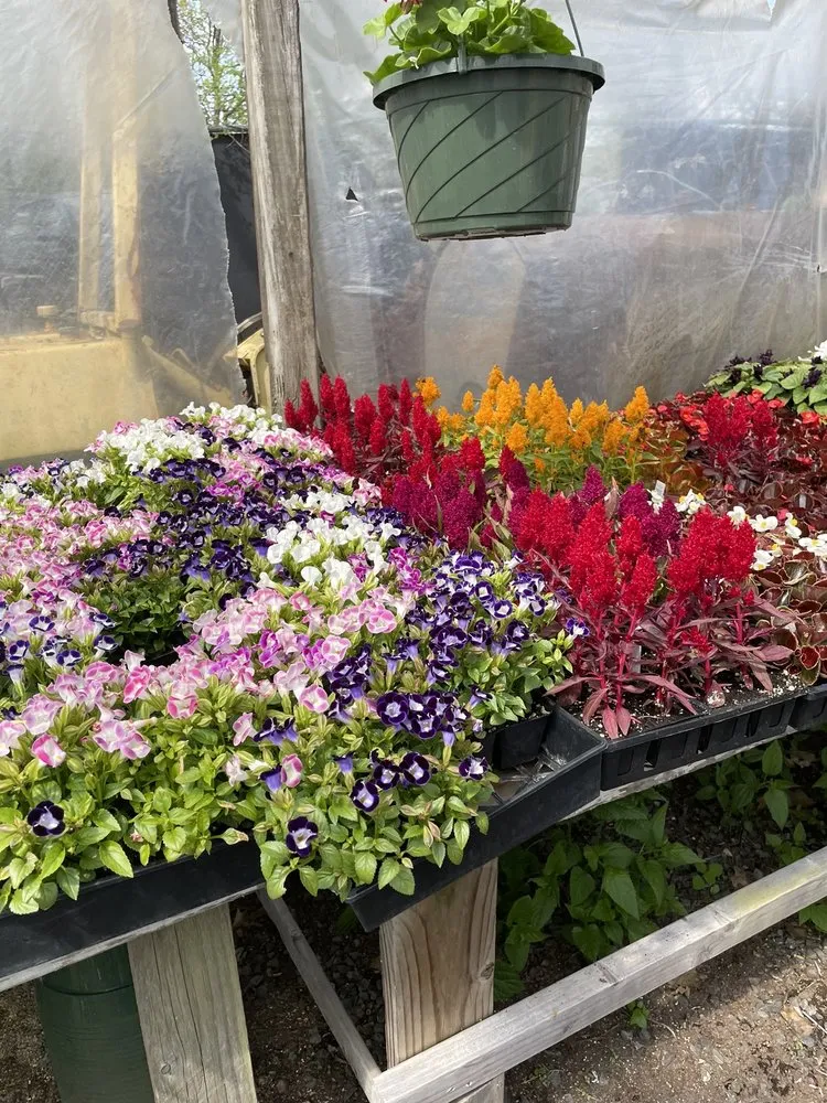 Trusted garden landscaping for homes in Smithfield, RI by Twin River Nursery