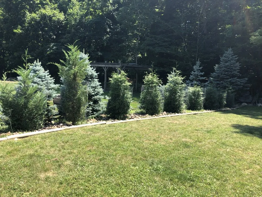 Expert lawn care service in Franklin Lakes, NJ - Twinbrook Farms