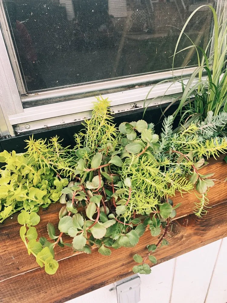 Local outdoor landscaping in Franklin Lakes, NJ by Twinbrook Farms