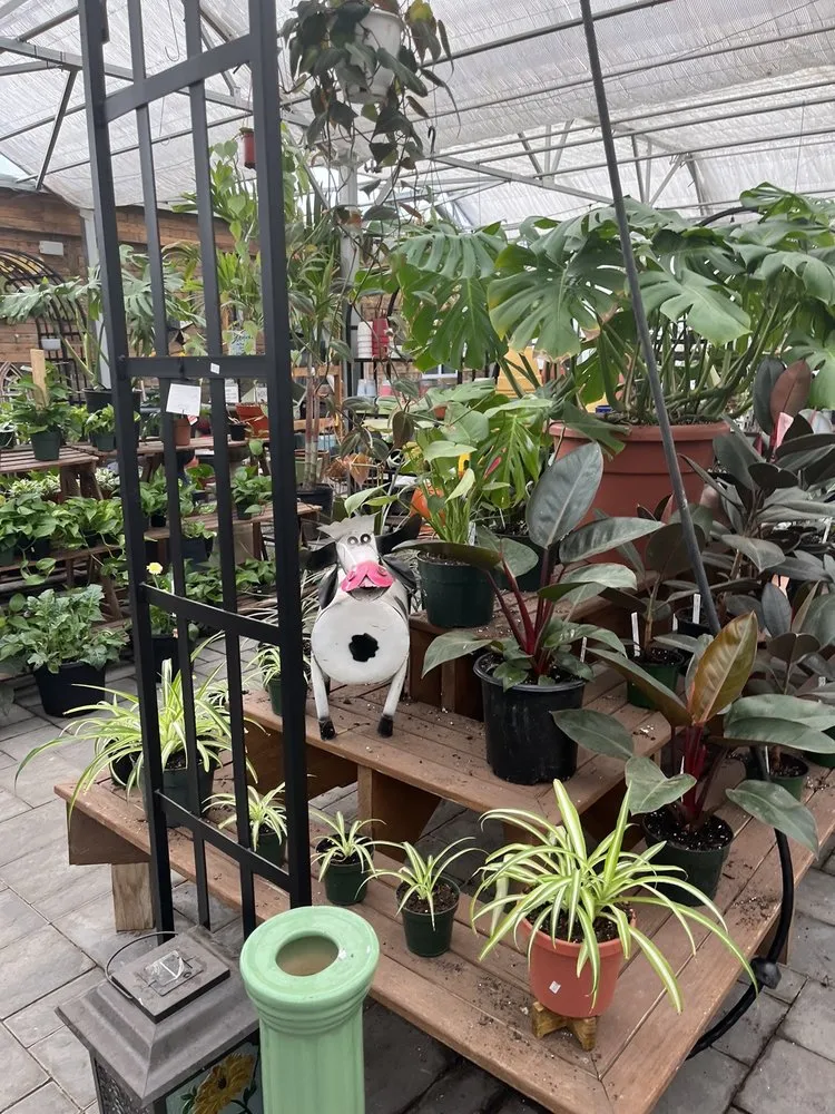 Affordable lawn mowing service in Franklin Lakes, NJ by Twinbrook Farms