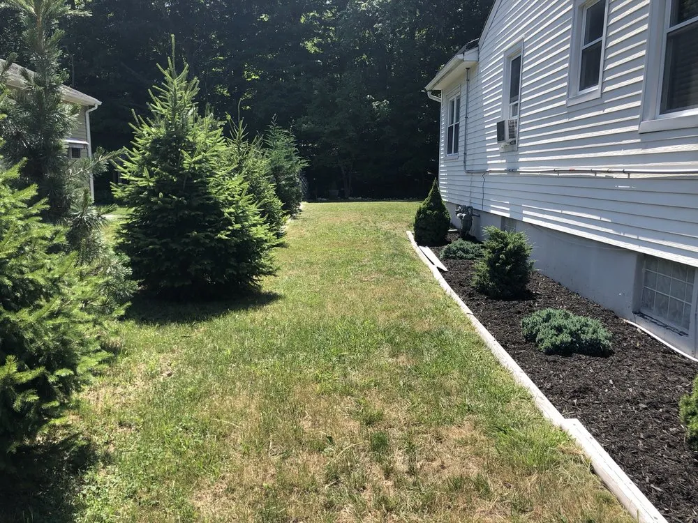Affordable yard cleanup service in Franklin Lakes, NJ - Twinbrook Farms