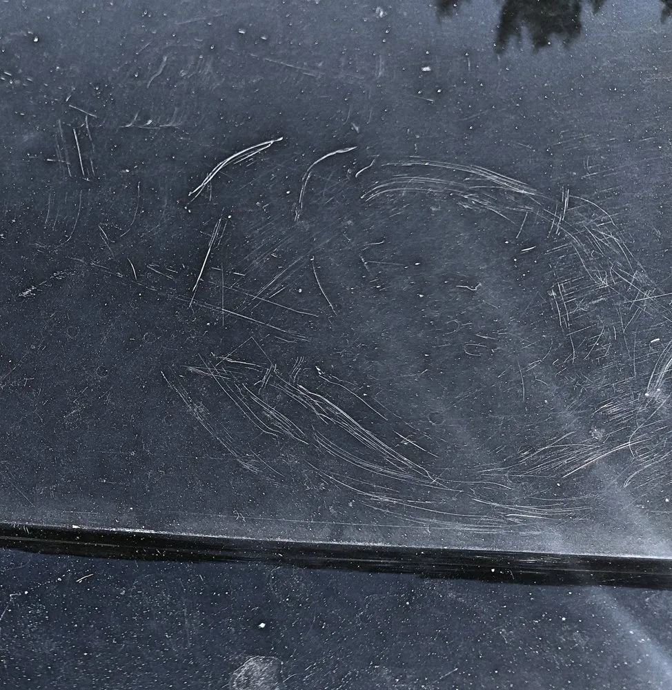 Custom lawn care service for outdoor upgrades in Newton, MA by Twinbrook Landscaping