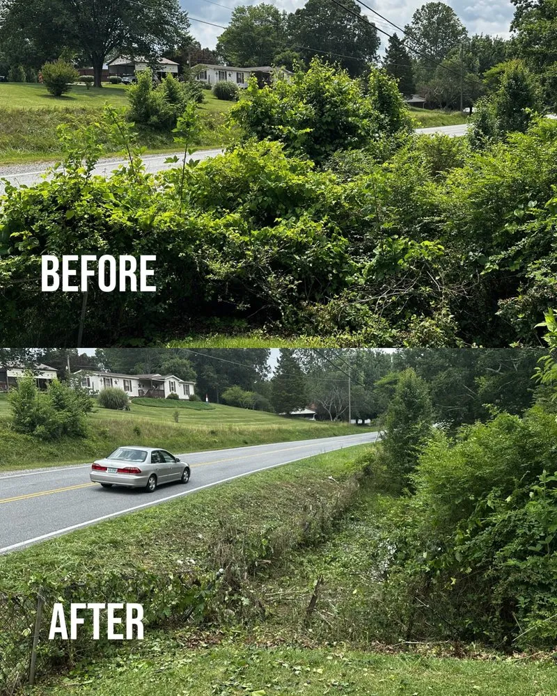 Custom residential landscaping for outdoor upgrades across Salem, VA - Twine Hollow Land Solutions