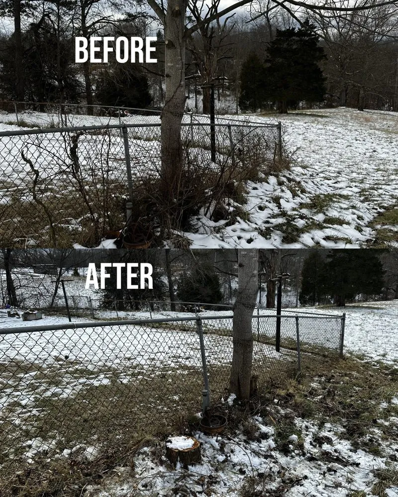 Expert residential landscaping for residential properties in Salem, VA by Twine Hollow Land Solutions