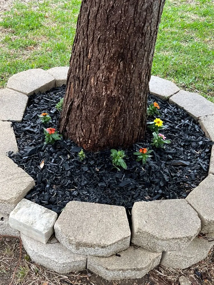 Top-rated yard cleanup service experts serving McKinney, TX - TwinFarms Lawn & Landscape