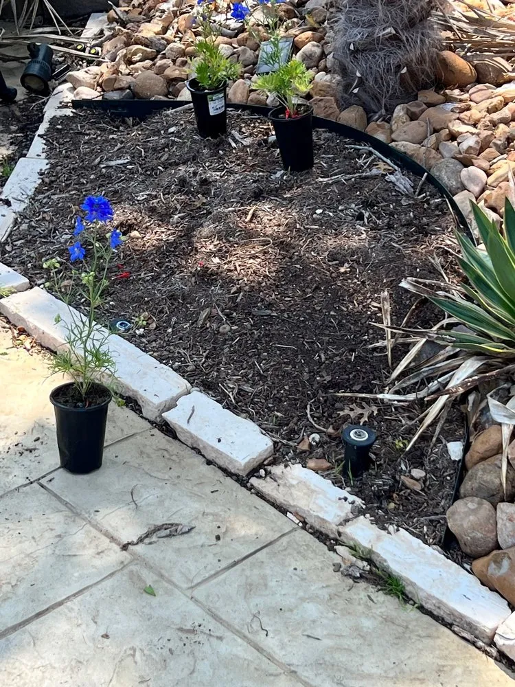 Trusted yard cleanup service for beautiful yards across McKinney, TX - TwinFarms Lawn & Landscape