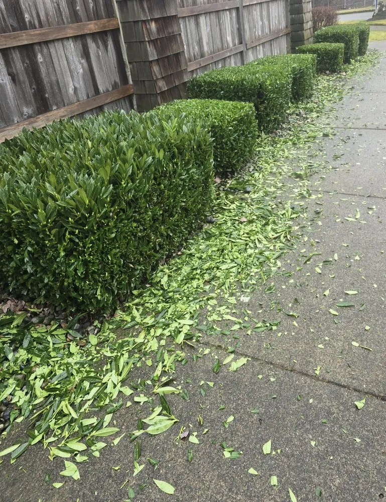 Professional residential landscaping in Lakewood, WA - Twins Landscaping