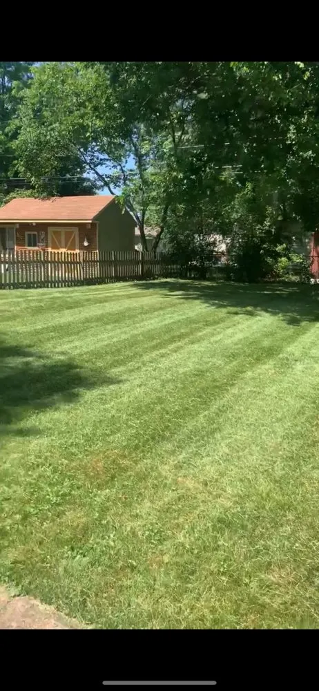 Custom yard maintenance in Midlothian, IL - Twins Landscaping