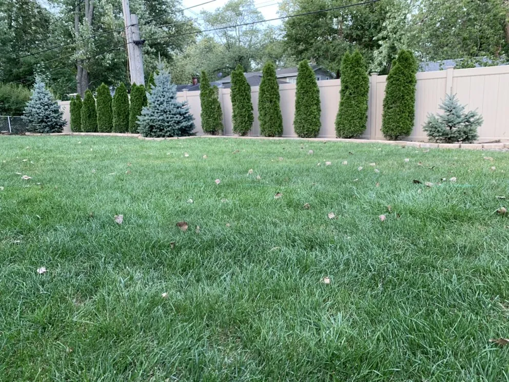 Reliable lawn mowing service for year-round maintenance across Midlothian, IL - Twins Landscaping