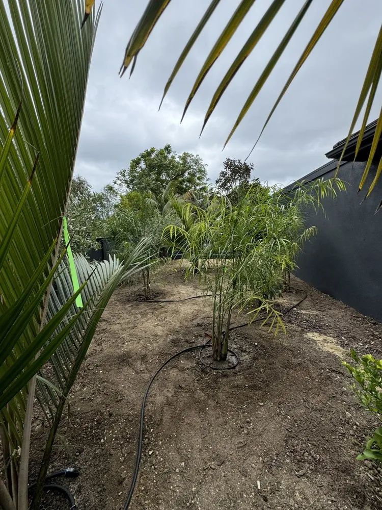 Local lawn mowing service in Santa Barbara, CA by Twins Landscaping