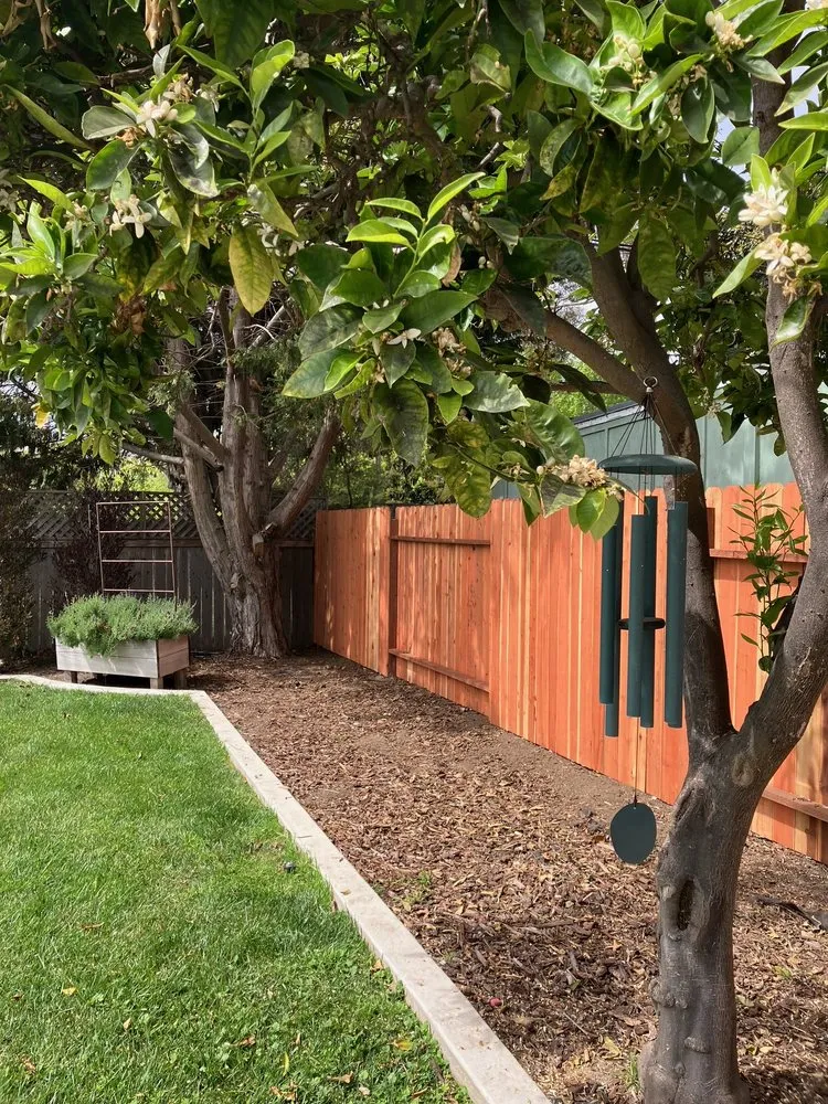 Top-rated landscape design in Santa Barbara, CA by Twins Landscaping